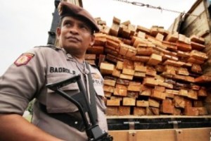 Enam Truk Angkut Kayu Ilegal Tertangkap Tangan Polda Riau