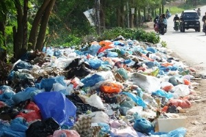 Marina Batam Bau Busuk yang Menyengat