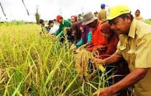 Dana HIbah Dunia Akan Mengalir ke Pelalawan Rehab Lahan Gambut