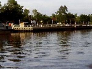 Air Sungai Siak Mulai Berwarna Hitam